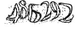 자동등록방지
