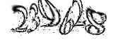 자동등록방지