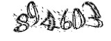 자동등록방지