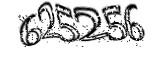 자동등록방지