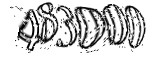자동등록방지