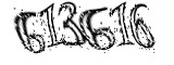 자동등록방지