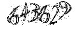 자동등록방지