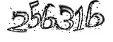 자동등록방지