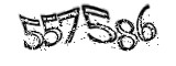 자동등록방지