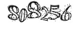 자동등록방지