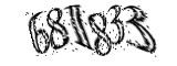 자동등록방지