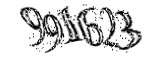 자동등록방지