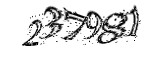 자동등록방지