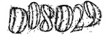 자동등록방지