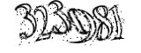 자동등록방지