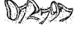 자동등록방지