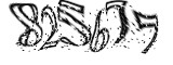 자동등록방지