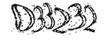 자동등록방지