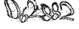 자동등록방지