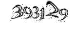 자동등록방지