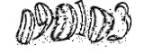 자동등록방지