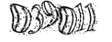 자동등록방지