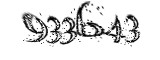 자동등록방지