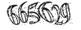 자동등록방지