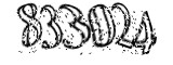 자동등록방지