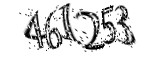 자동등록방지