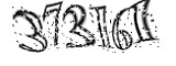 자동등록방지