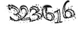 자동등록방지