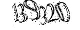자동등록방지