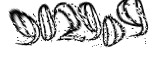 자동등록방지