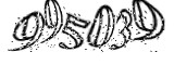 자동등록방지