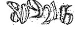자동등록방지