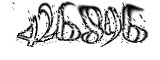 자동등록방지
