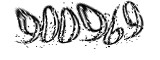 자동등록방지