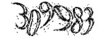 자동등록방지