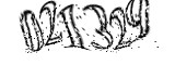 자동등록방지