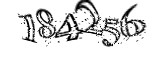 자동등록방지