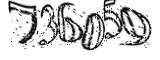 자동등록방지