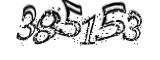 자동등록방지