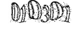 자동등록방지