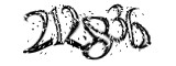 자동등록방지